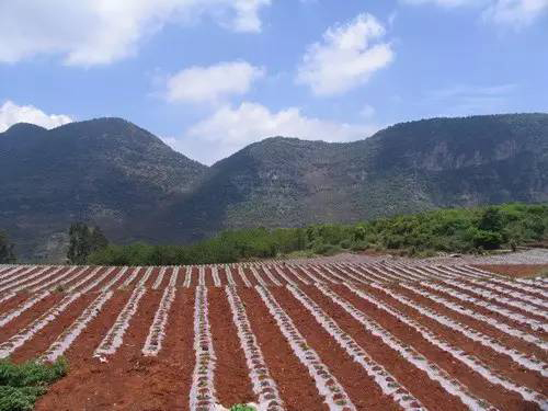 1495245608132344.jpg 微信圖片_20170520095929.jpg