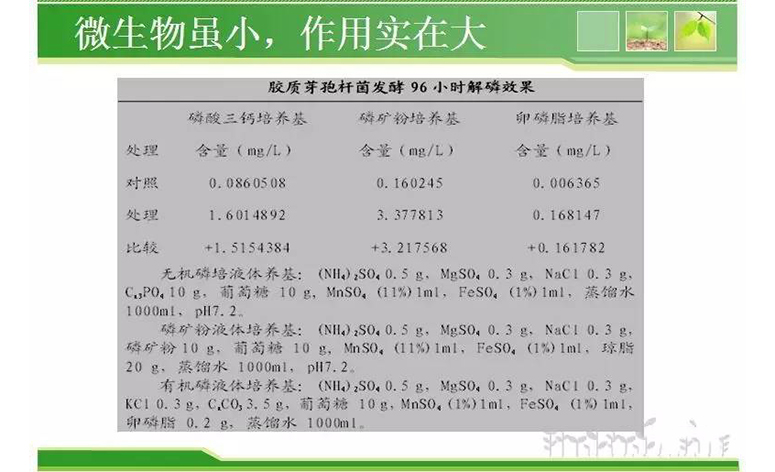 1495248027419775.jpg 33.jpg