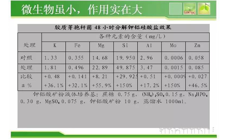 1495248057293390.jpg 44.jpg