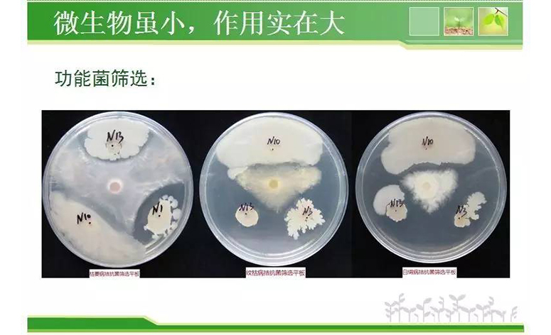 1495248091907970.jpg 55.jpg