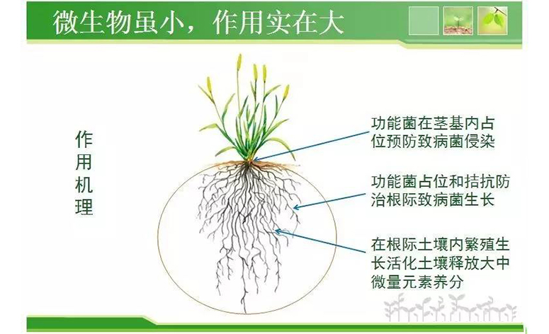 1495248102237793.jpg 77.jpg