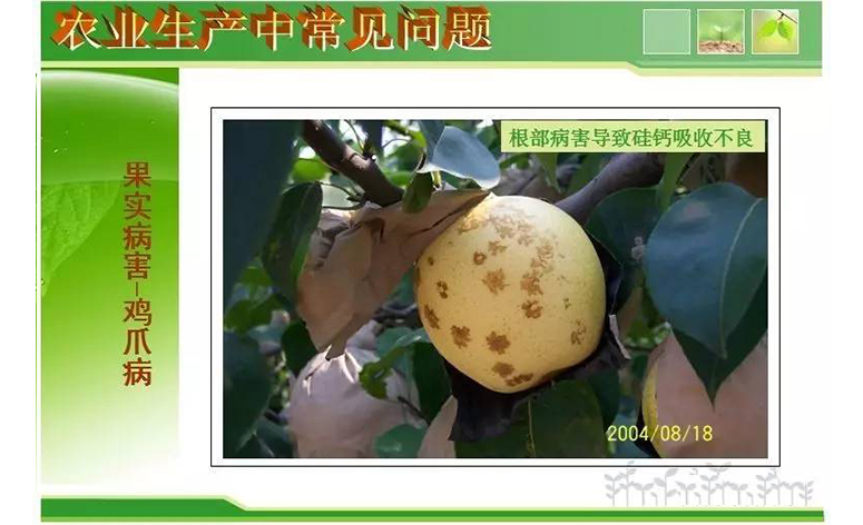 1495248208643540.jpg 11.jpg