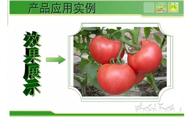 1495248299686055.jpg 99.jpg