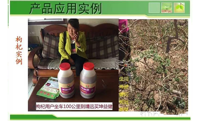 1495248584311248.jpg 55.jpg