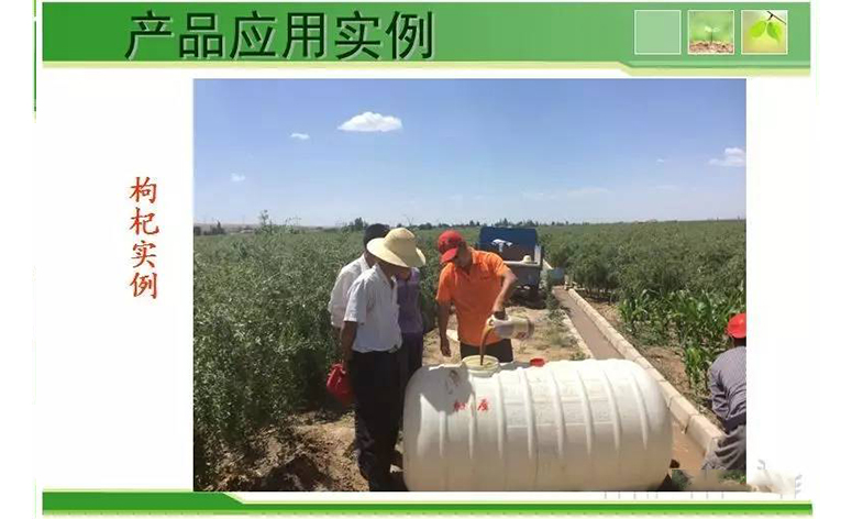 1495248602587168.jpg 66.jpg