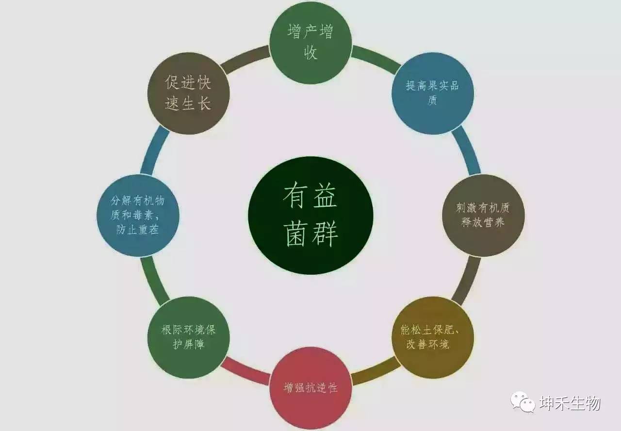 1495271726313916.jpg 微信圖片_20170520171513.jpg