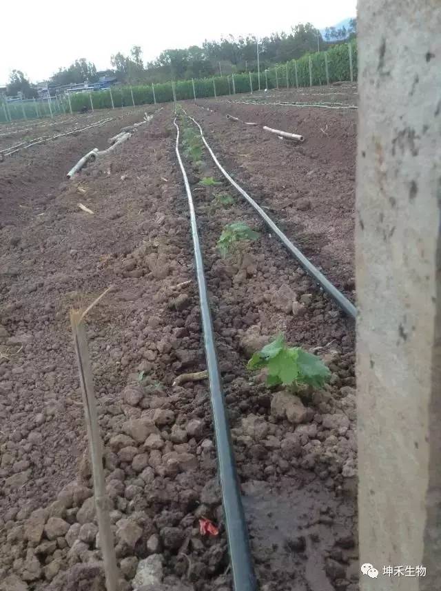 1495273078920191.jpg 微信圖片_20170520173707.jpg