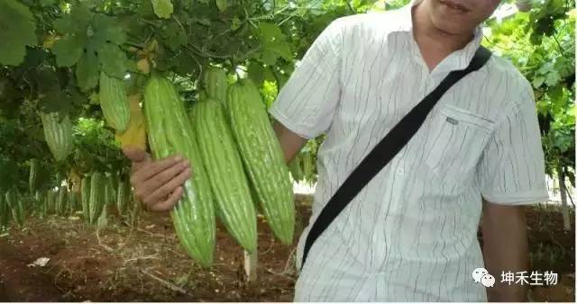 1495273092401615.jpg 微信圖片_20170520173716.jpg