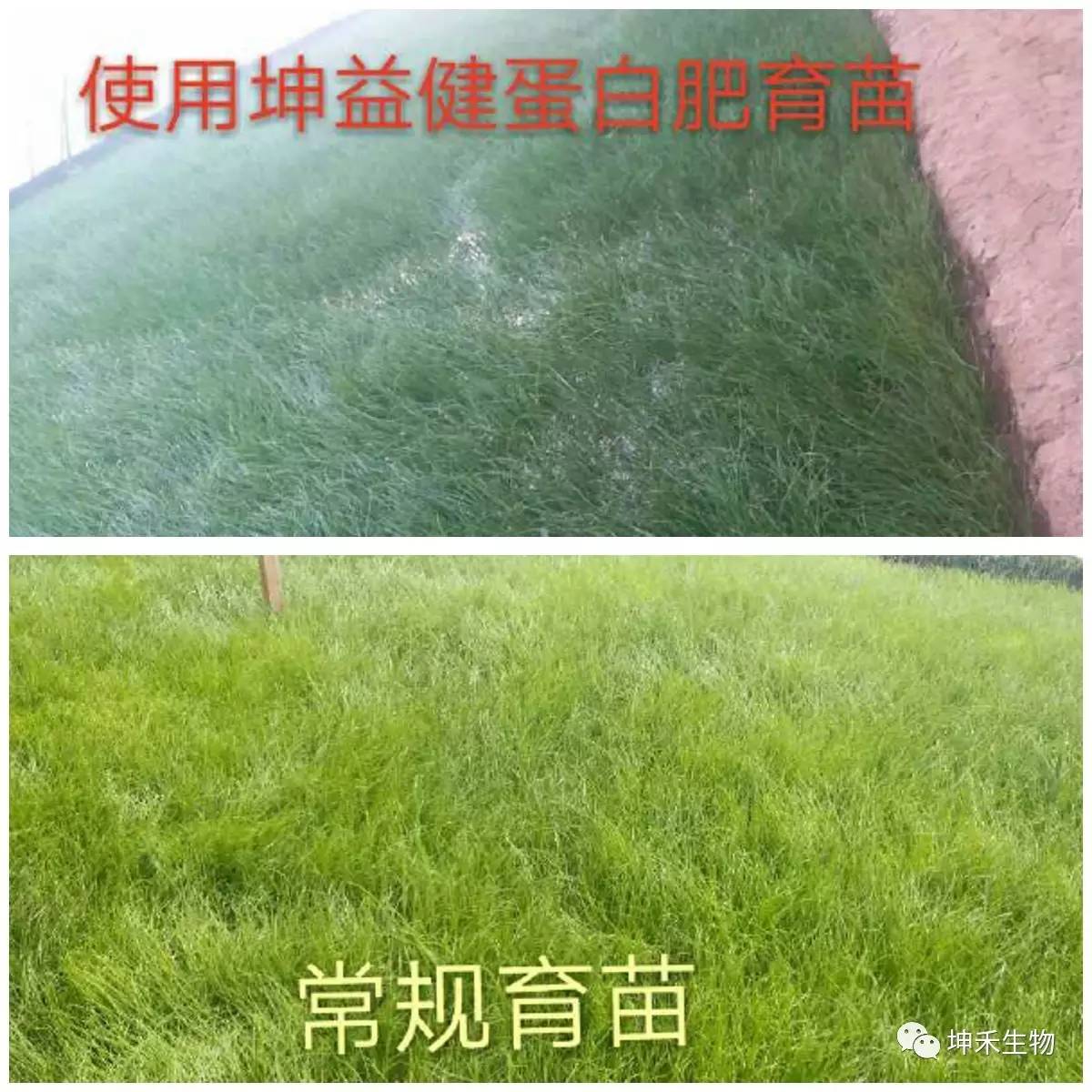 1495273099156635.jpg 微信圖片_20170520101516.jpg