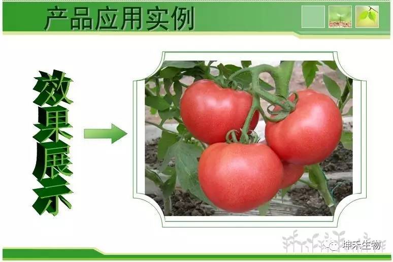 1495273118252940.jpg 微信圖片_20170520173724.jpg