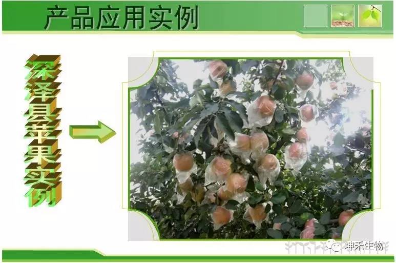 1495273126134474.jpg 微信圖片_20170520173726.jpg