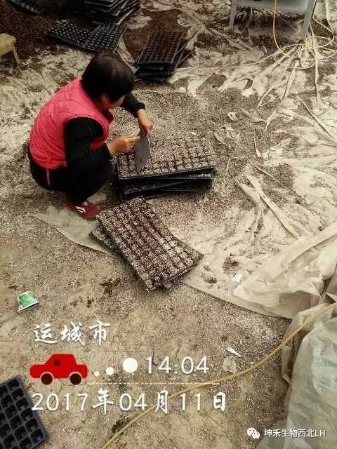 1495276963296575.jpg 微信圖片_20170520184049.jpg