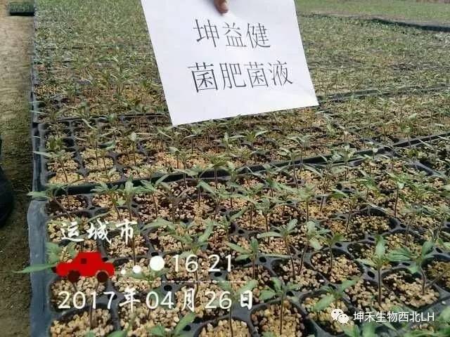 1495277005456997.jpg 微信圖片_20170520184057.jpg