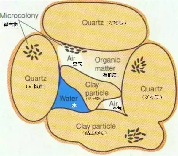 1495342168127288.jpg 微信圖片_20170521124905.jpg
