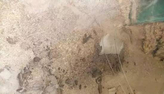 1495347032858484.jpg 微信圖片_20170521140909.jpg