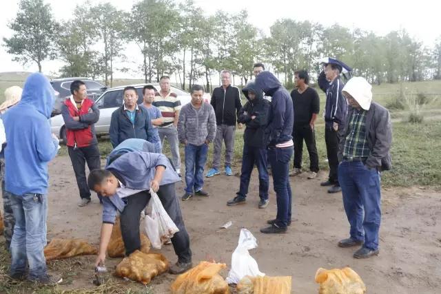 1505790684296661.jpg 薯78.jpg