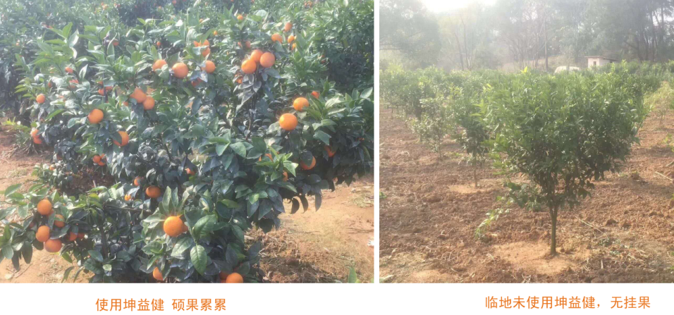 1516608536561134.png 1516590849(1).png