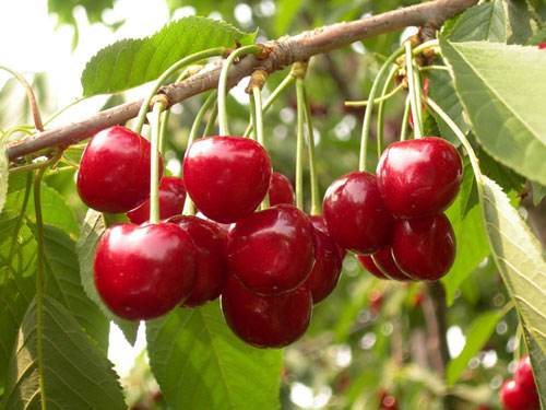 1525331847225701.jpg timg.jpg