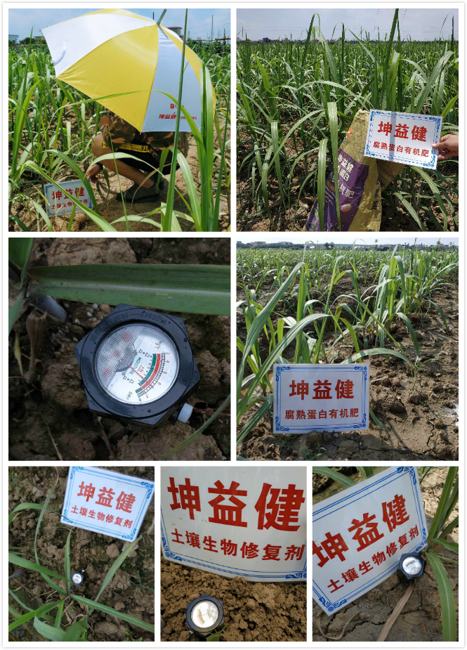 1527753404497533.jpg 未命名_meitu_0.jpg