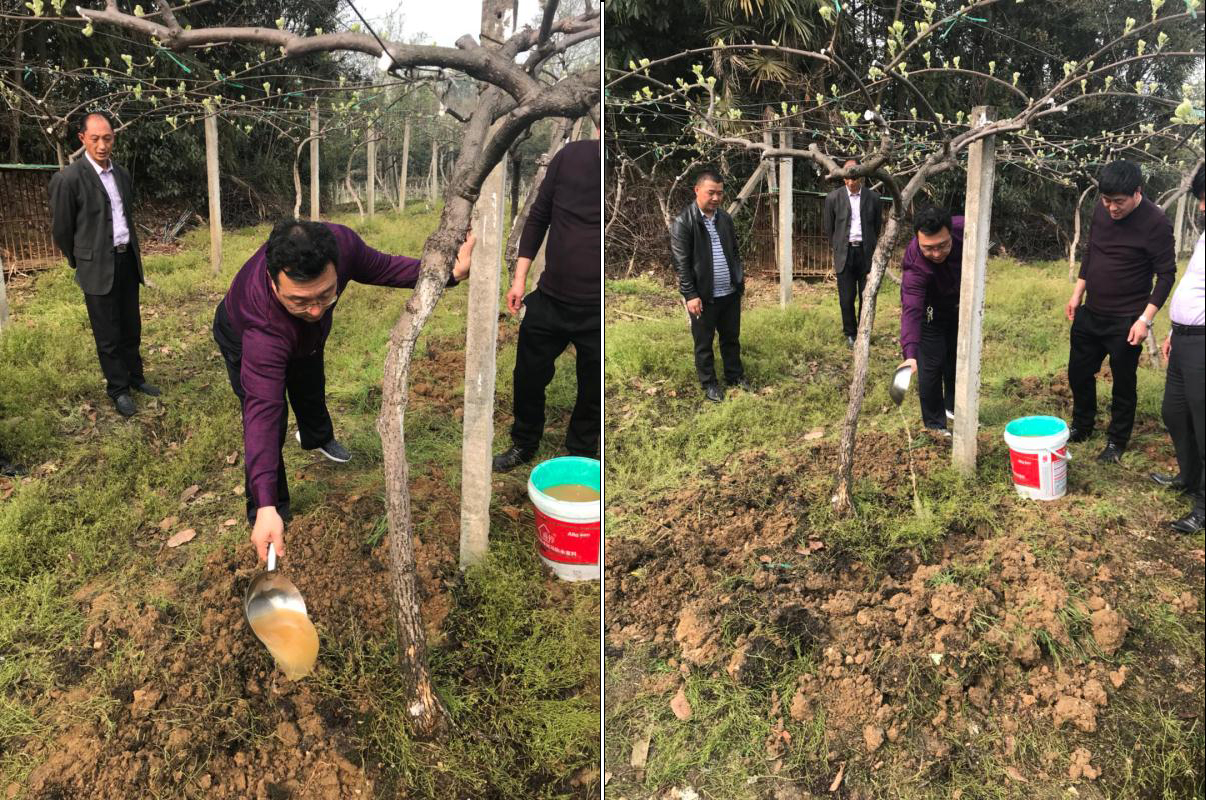 1527753709321791.jpg 施肥 坤益健.jpg