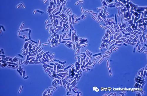 1529738199248981.png 微信圖片_20180623145512.png