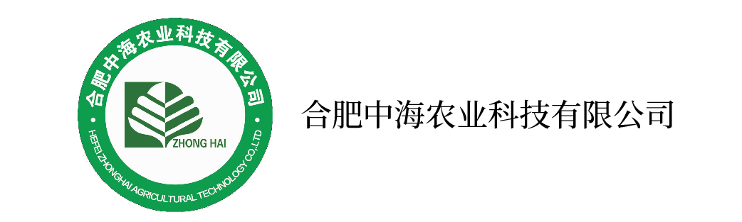 1598428585868693.jpg 合肥-01.jpg