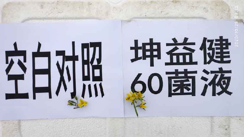 1606440495201036.jpg 9-01.jpg