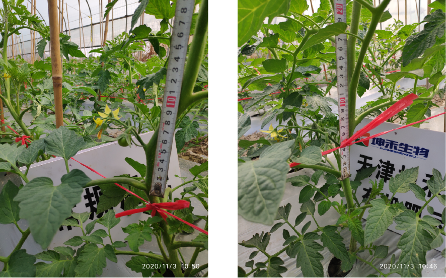 1606440850963916.png 未標(biāo)題-9-01.png