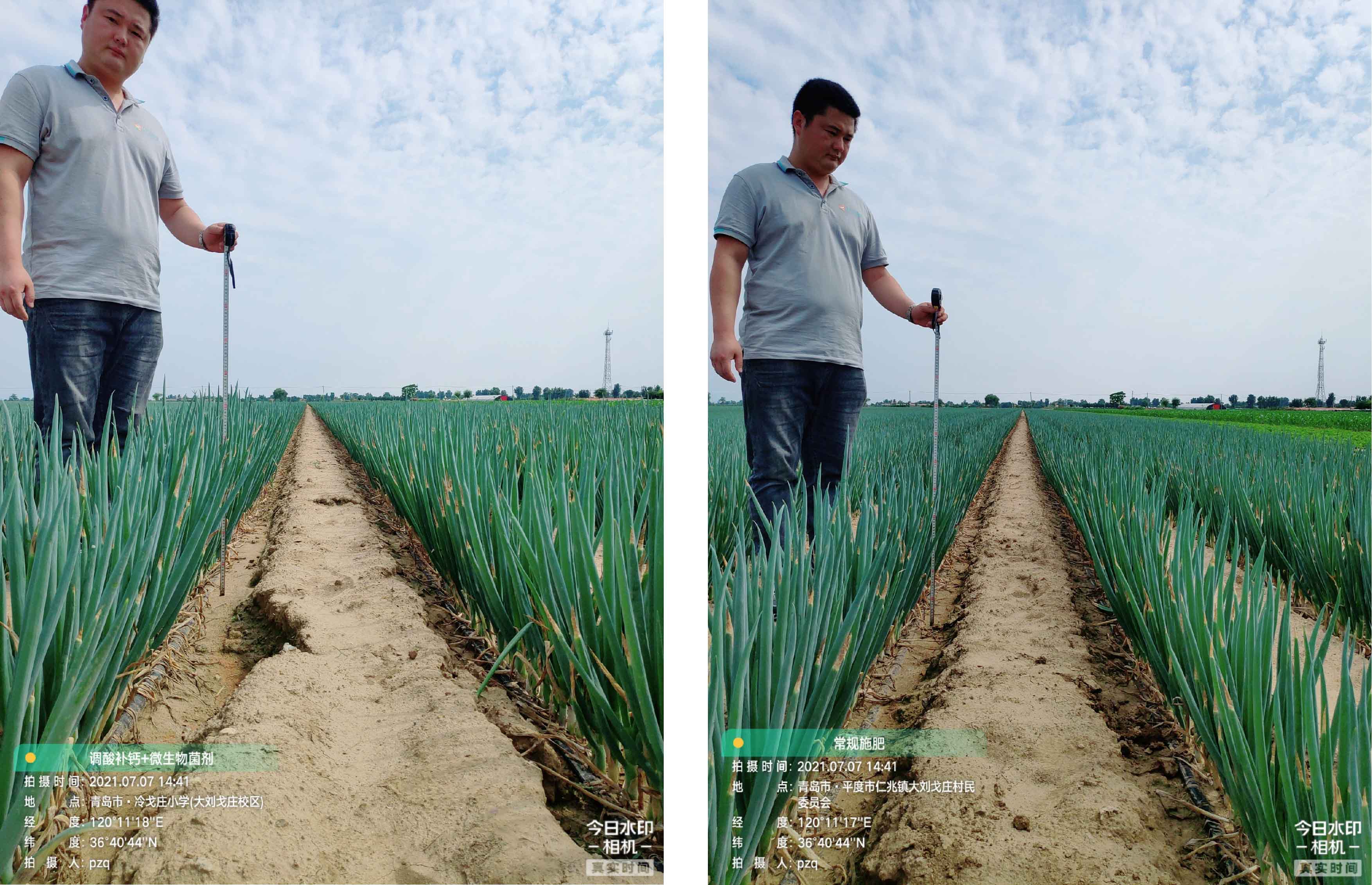 1628733456865112.jpg 3-01.jpg