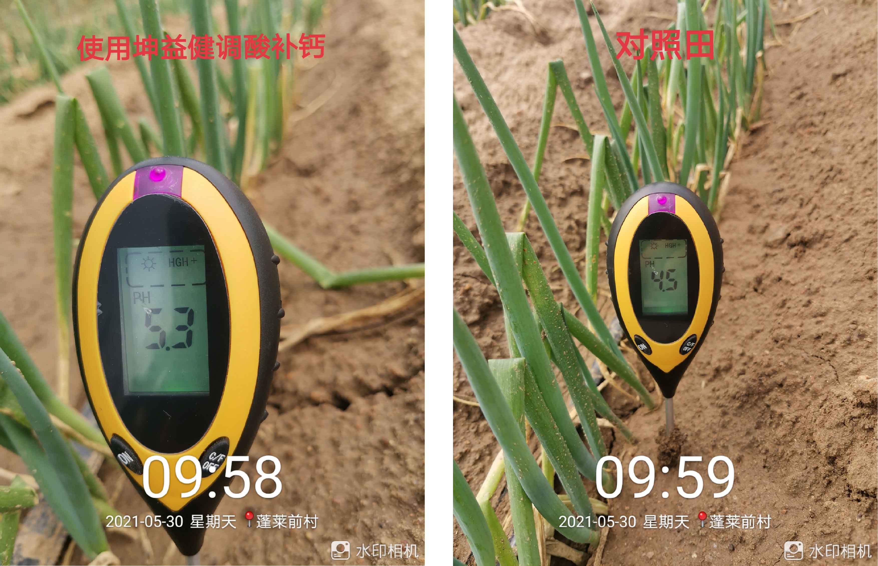 1628733563927644.jpg 6-01.jpg