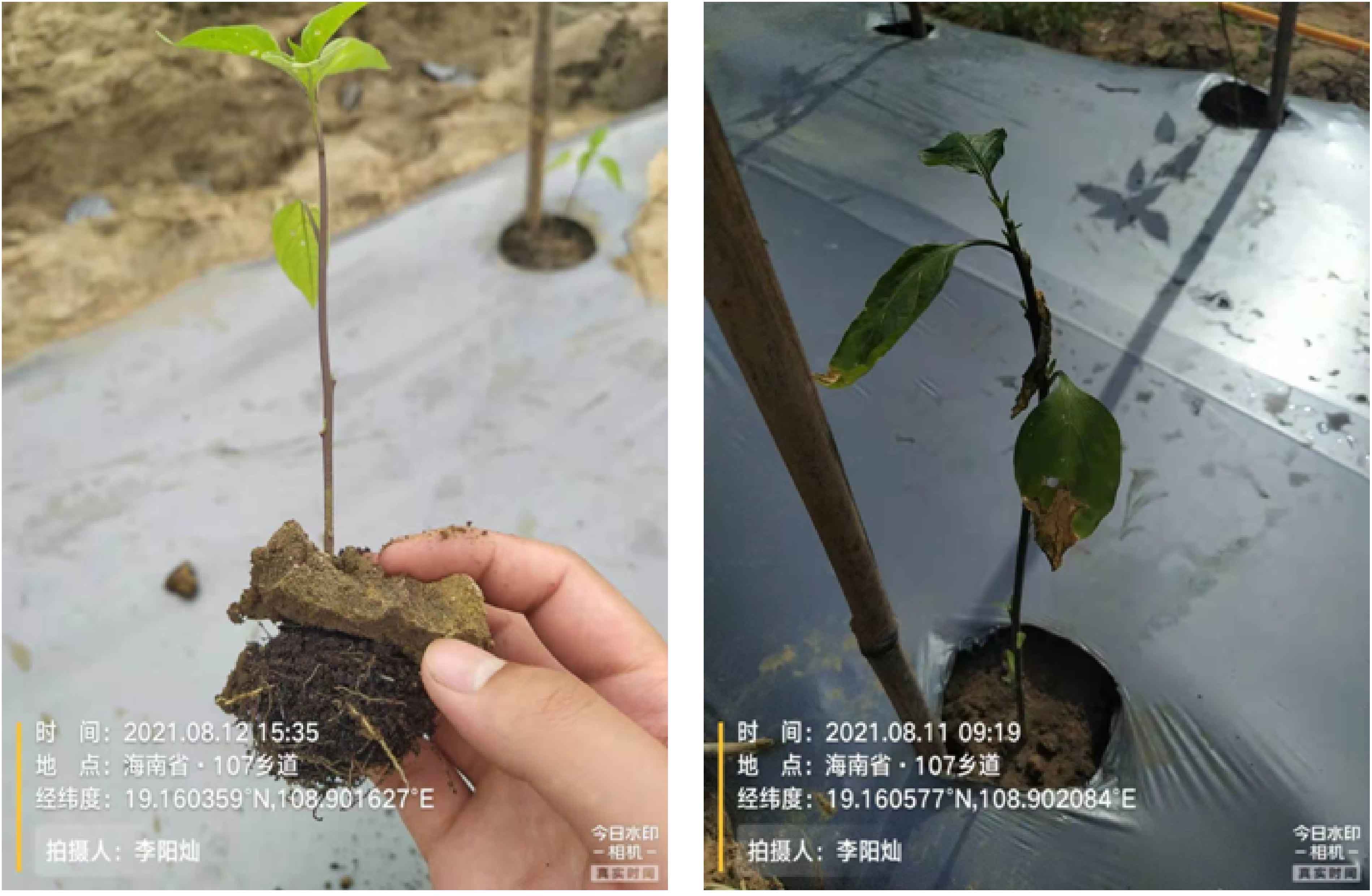 1630563215449881.jpg 7-01.jpg