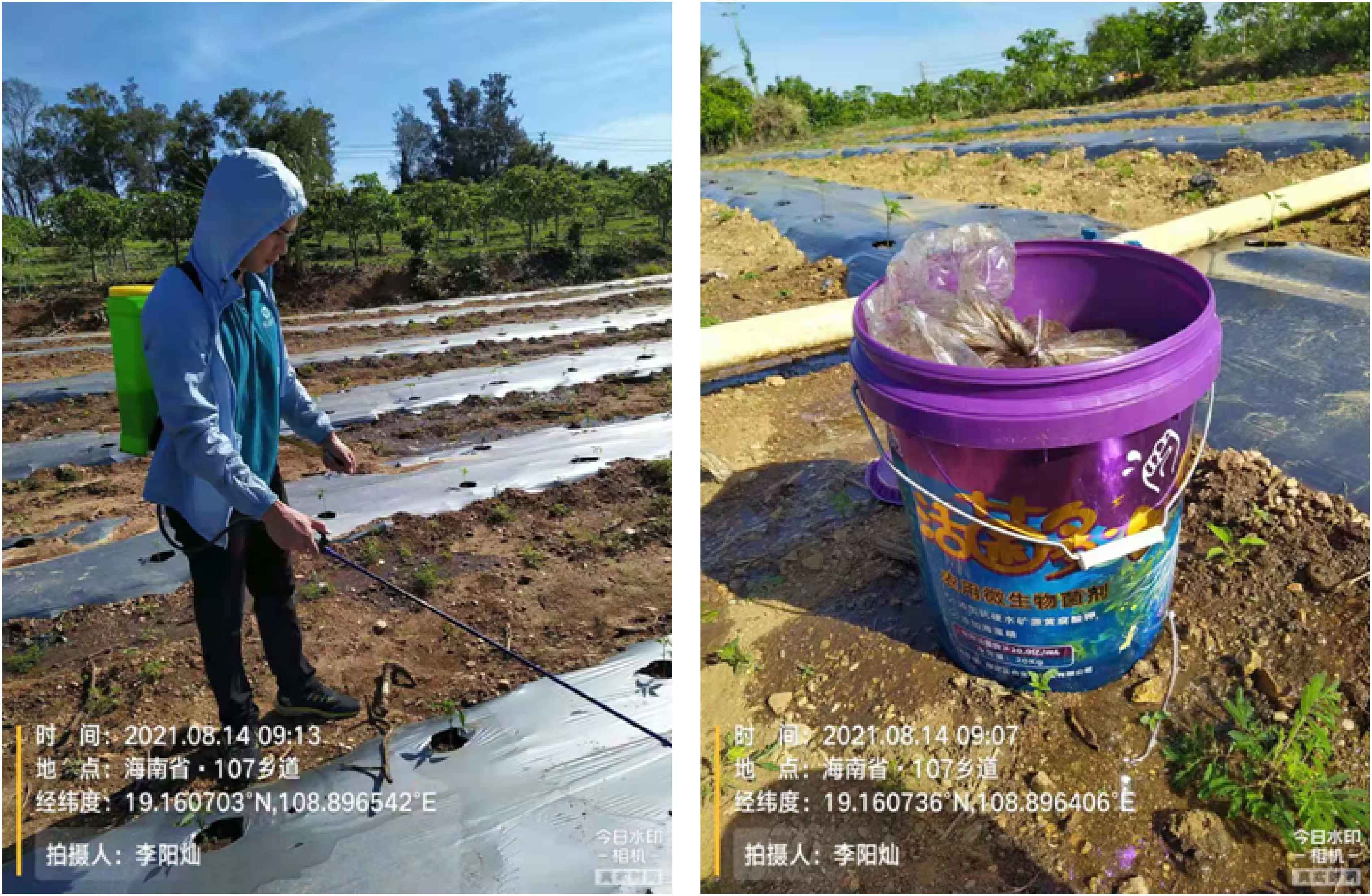 1630563320793706.jpg 8-01.jpg