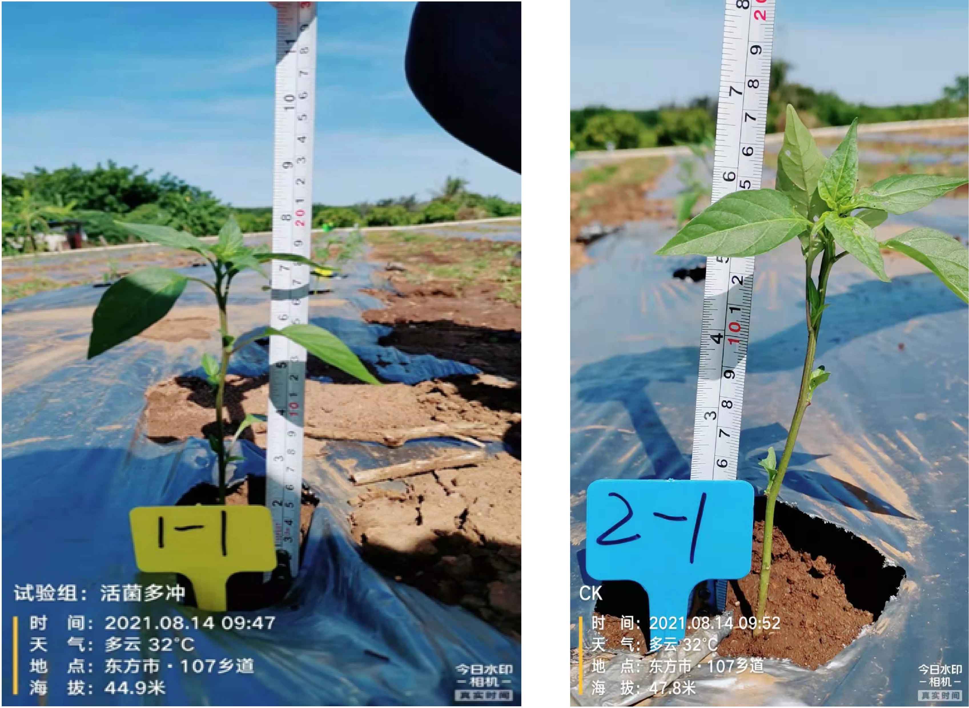 1630563329981441.jpg 9-01-01.jpg