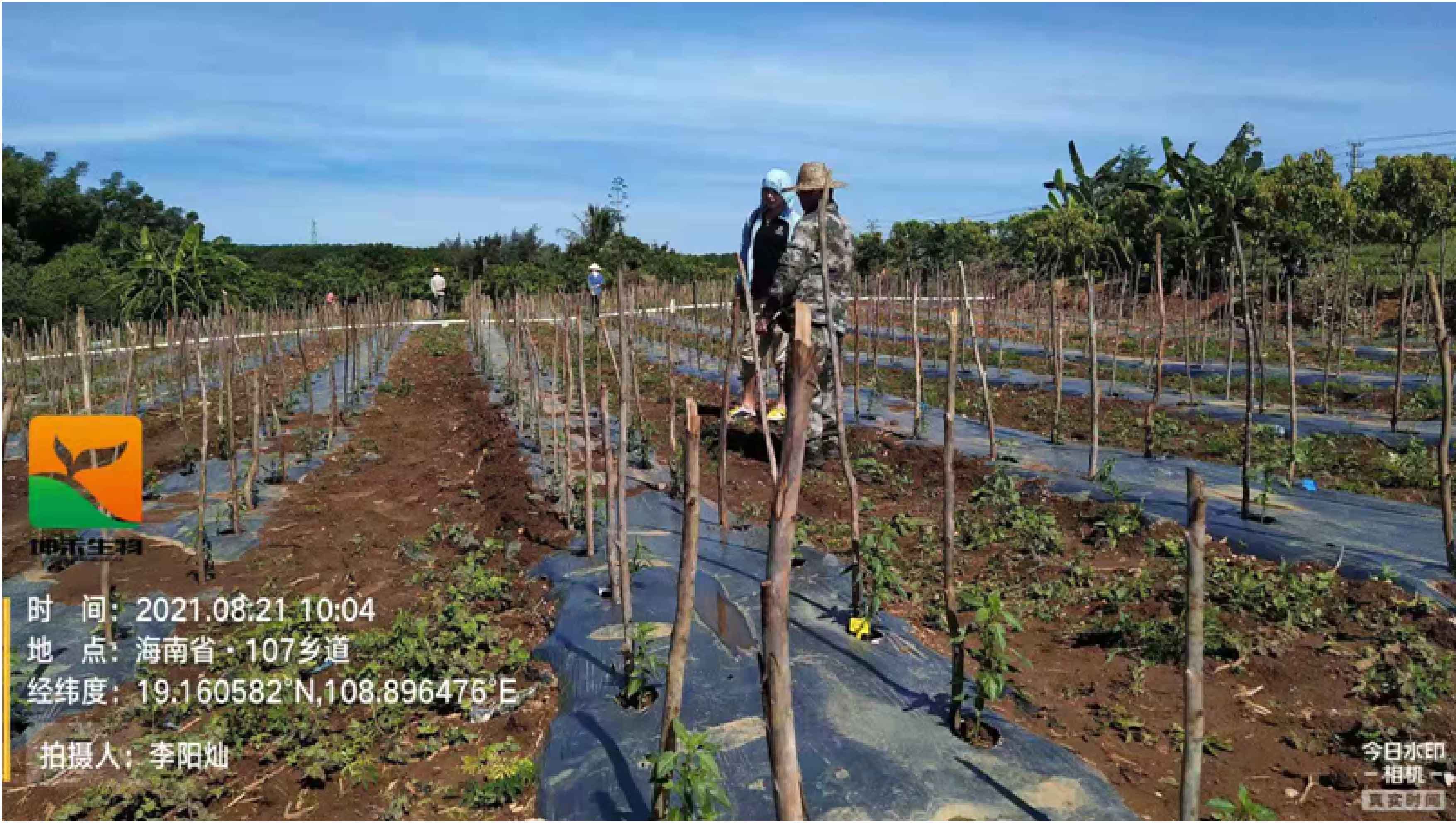 1630563381766473.jpg 12-01.jpg