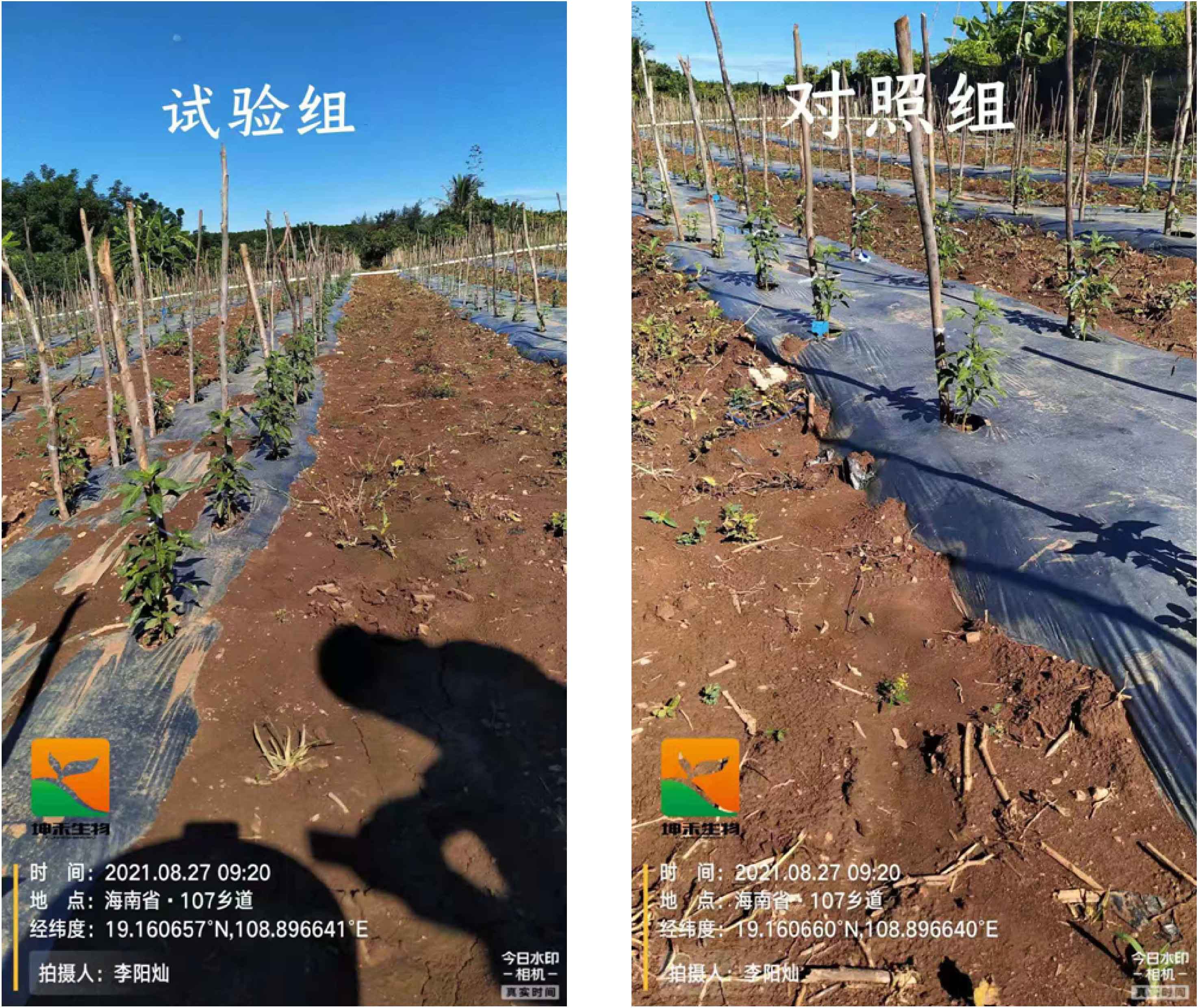 1630563407682694.jpg 14-01.jpg