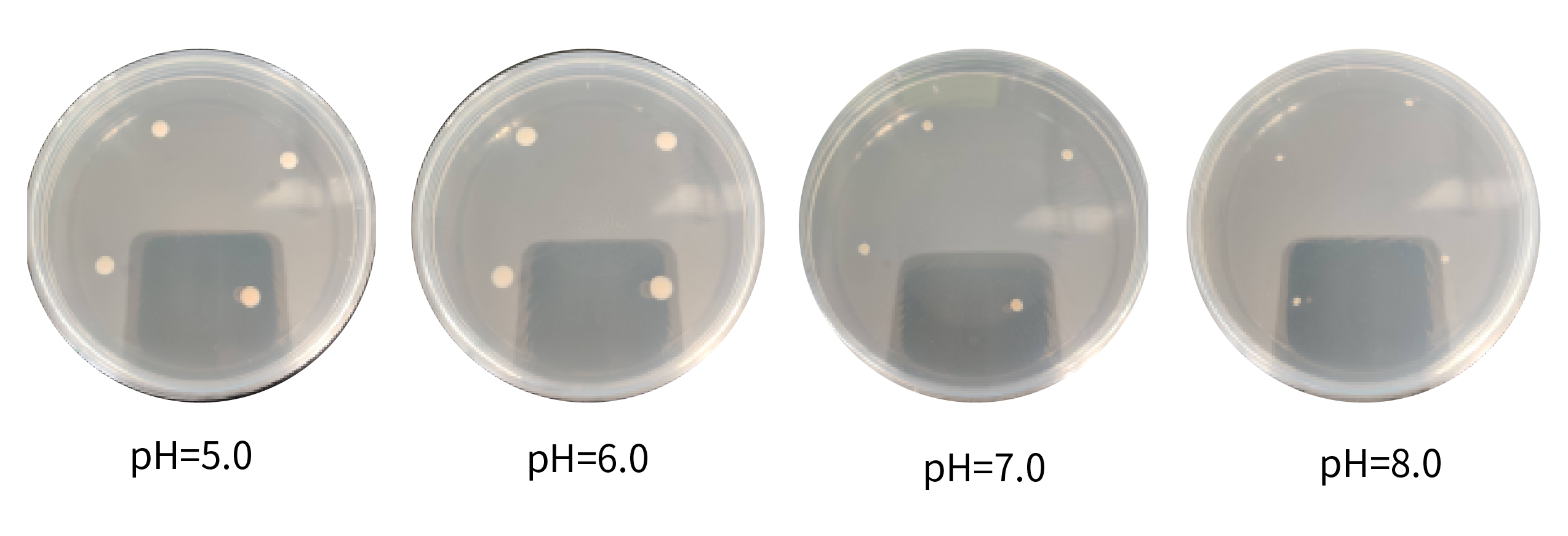 1672890994783790.png 未標題-1-01.png