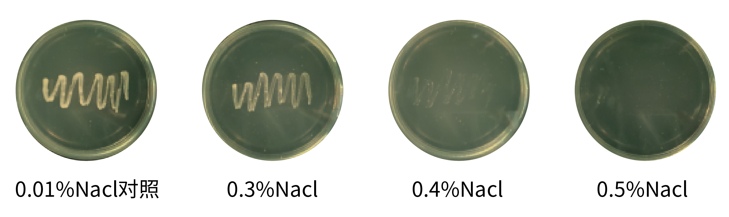 1672891018750324.png 未標題-2-01.png