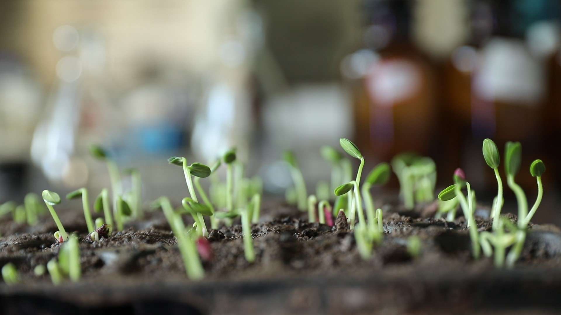 1672893789883316.jpg AL3A0381_Moment.jpg