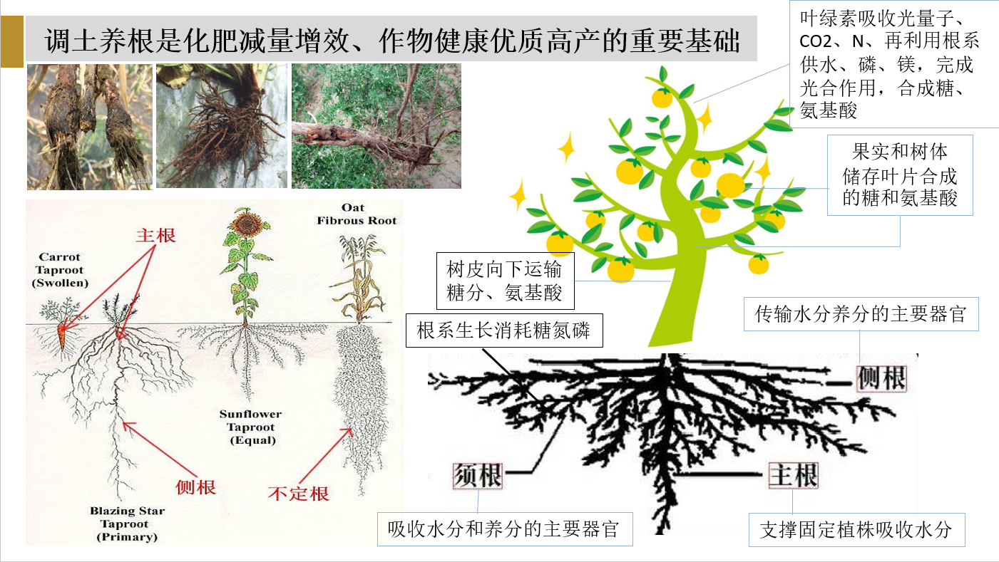 1672895276427586.png 微信截圖_20221207114755.png