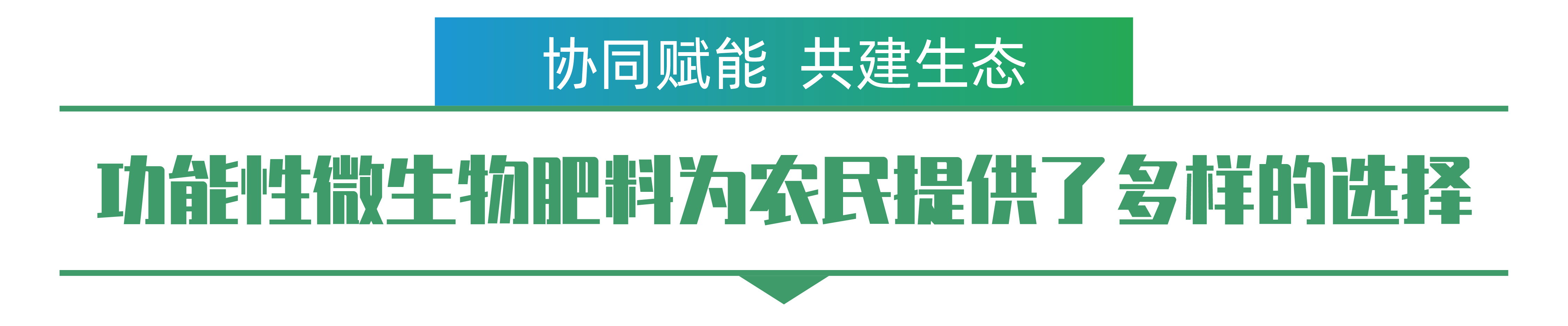 1702259002756409.png 姜昕-01.png