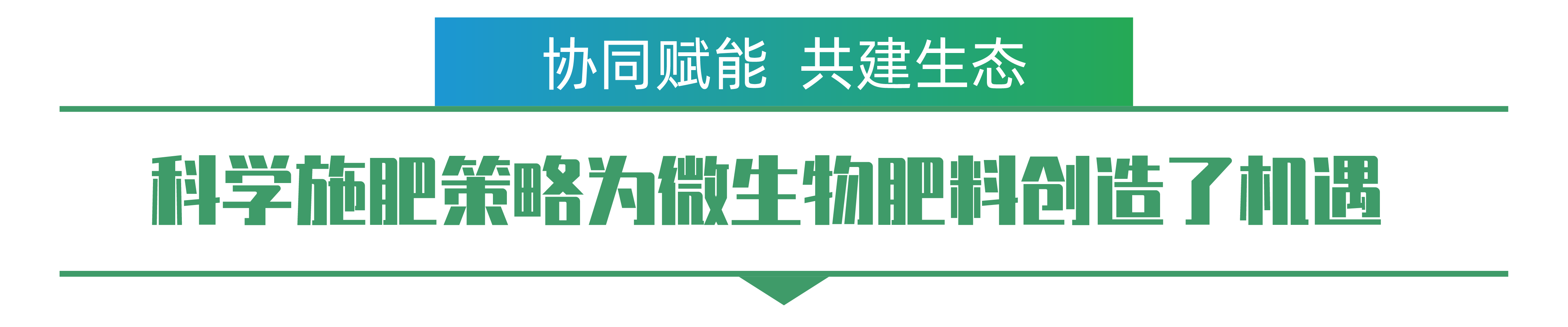 1702259056153724.png 杜森-01.png