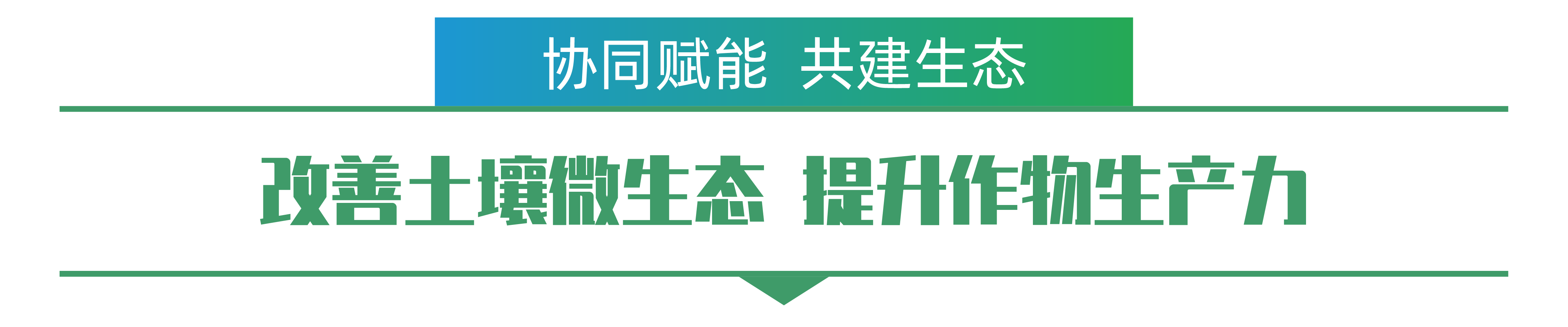 1702259176360674.png 趙鋼勇-01.png