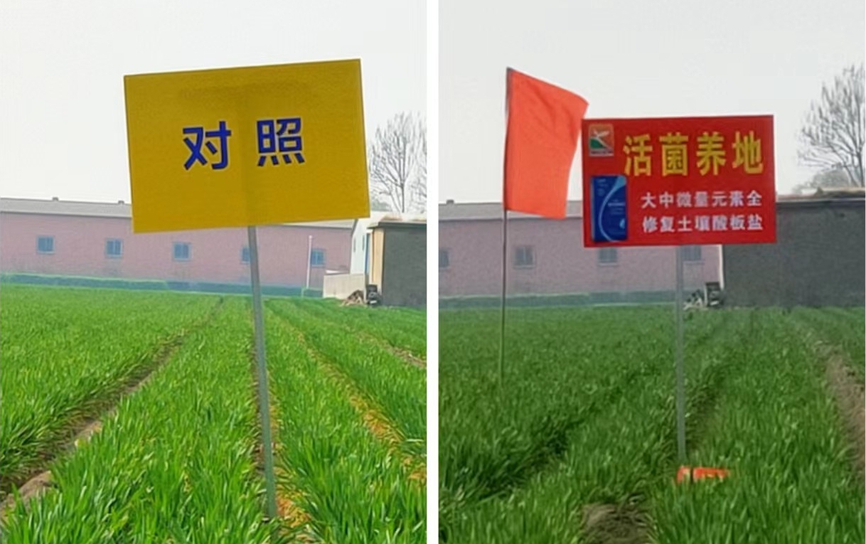 1713503537207330.png 22.png